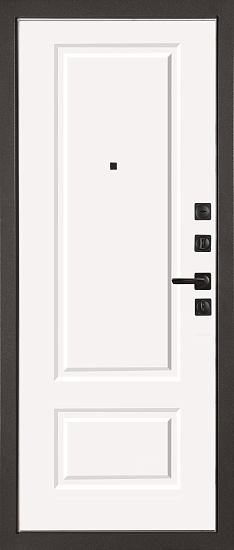 Входные двери для квартиры Теодор 