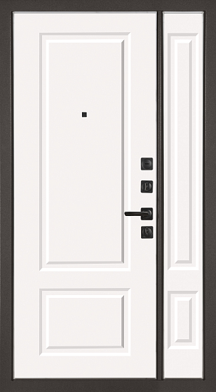 Входные двери для дома Теодор 1200х2200 