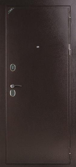 Входные двери для дома Дипломат 