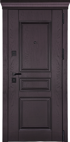 Входные двери для квартиры Токката 