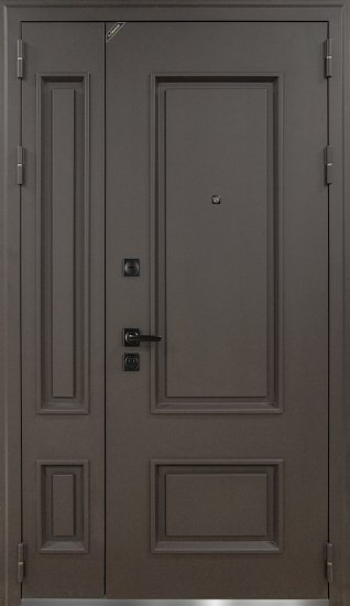 Входные двери для дома Теодор 1200х2200 