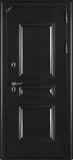 Входные двери для дома Поларис 