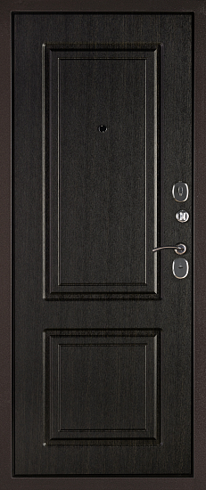 Входные двери для дома Дипломат 
