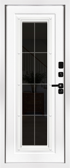 Входные двери для дома Астра 