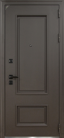 Входные двери для дома Теодор 960х2200 