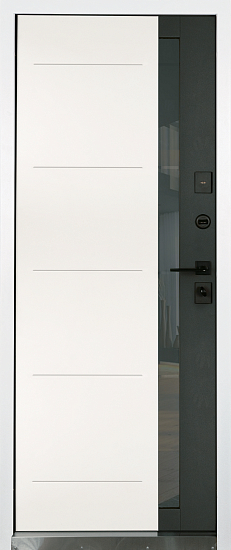 Входные двери для дома Аваллон мет/мет 