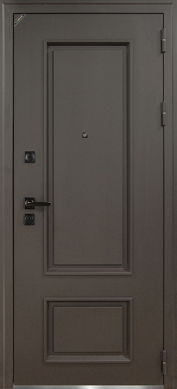 Входные двери для квартиры Теодор 