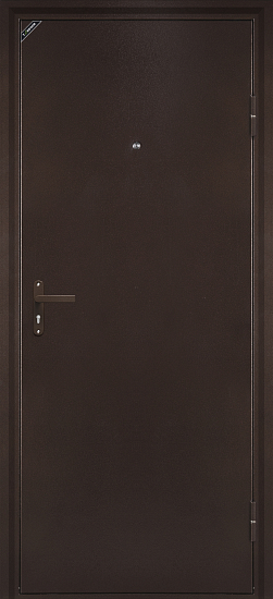 Металлические входные двери ЛМД-1 