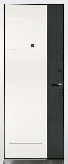 Входные двери для дома Аваллон мет/мет 