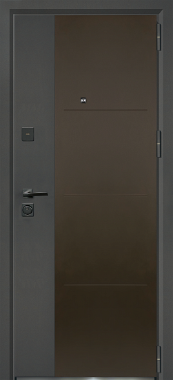 Входные двери для дома Аваллон мет/мет 