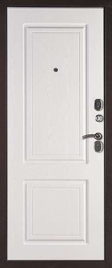 Входные двери для дома Дипломат 