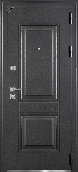 Входные двери для дома Базальт 