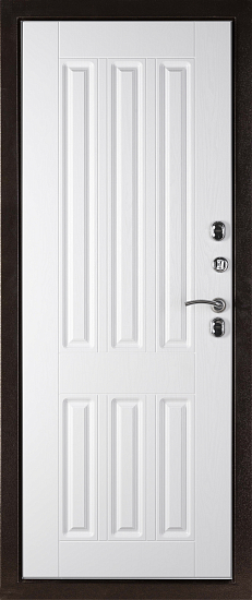 Входные двери для дома Норд 