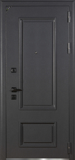 Входные двери для дома Теодор 2200 