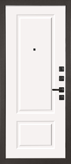 Входные двери для дома Теодор 960х2200 