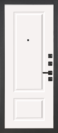 Входные двери для дома Теодор 2200 